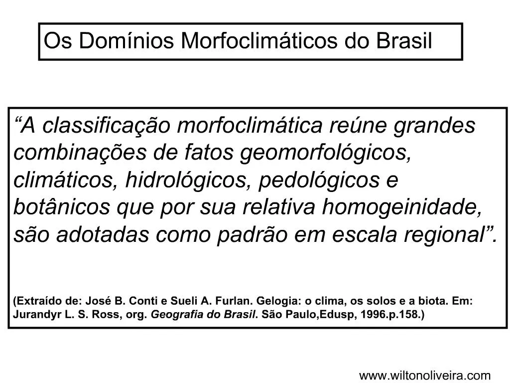 PPT Os Dom Nios Morfoclim Ticos Do Brasil PowerPoint Presentation