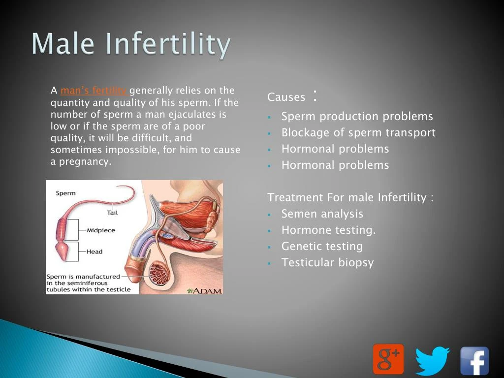 Infertility In Men 9
