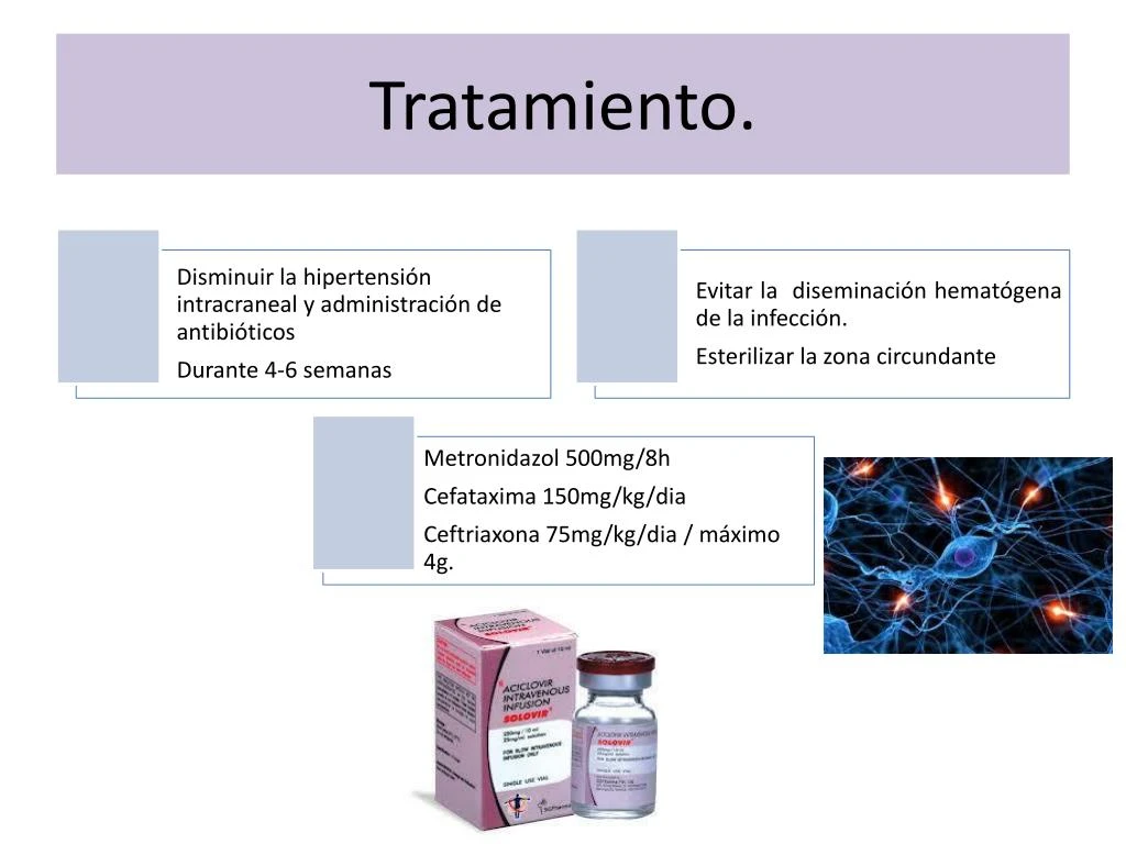 download a fragrant introduction to terpenoid chemistry