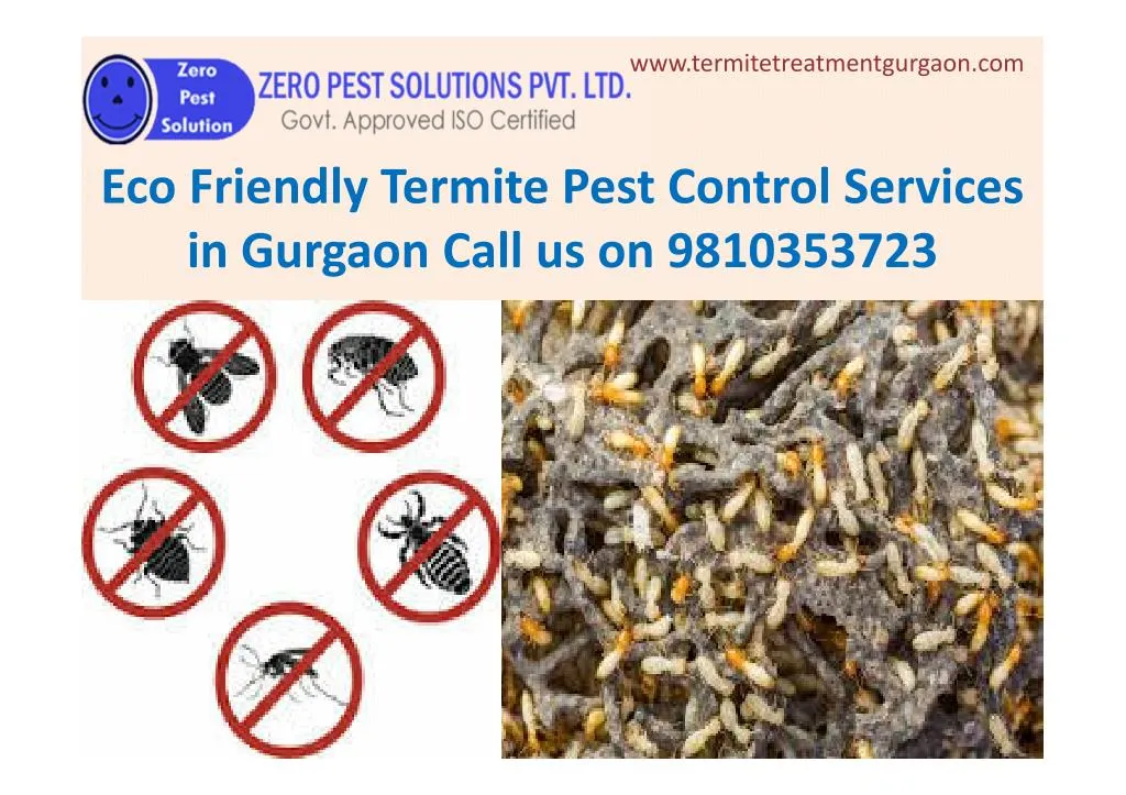 Ppt Eco Friendly Termite Pest Control Services In Gurgaon Call