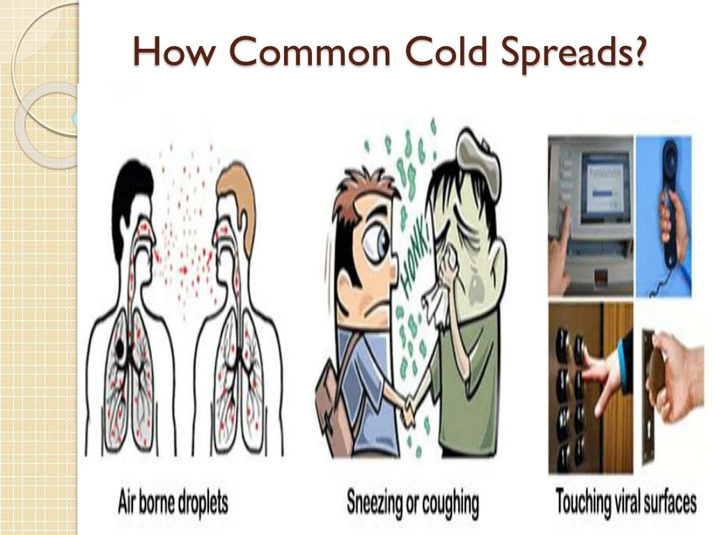 PPT Common Cold Treatment Clinic Bukit Timah PowerPoint Presentation