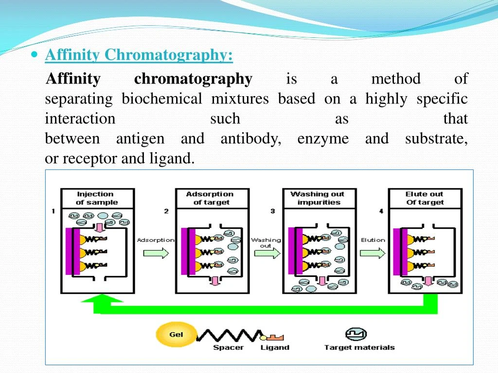 PPT Classification Of Chromatography PowerPoint Presentation ID 7395851