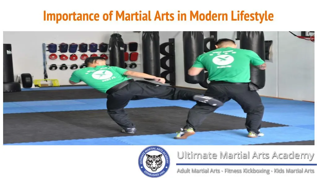 essay on importance of martial arts