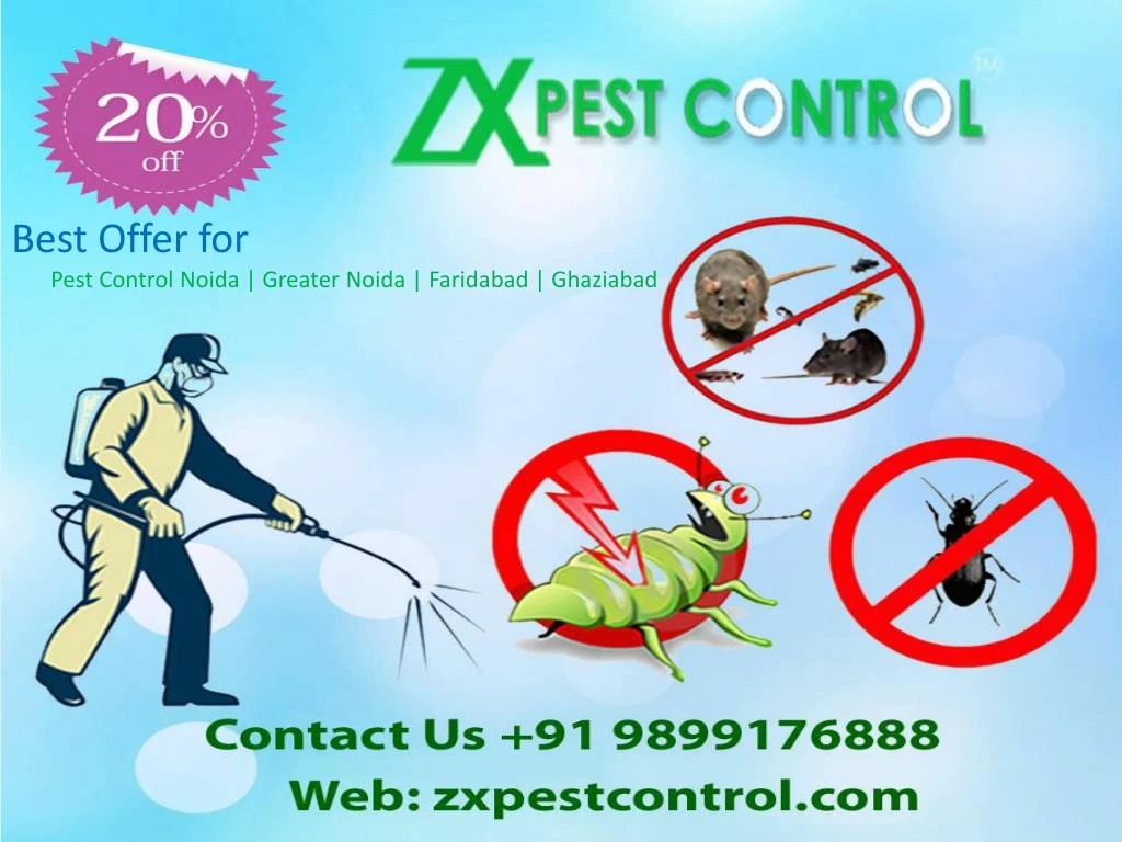 Pest Control With Air Rifle Uk