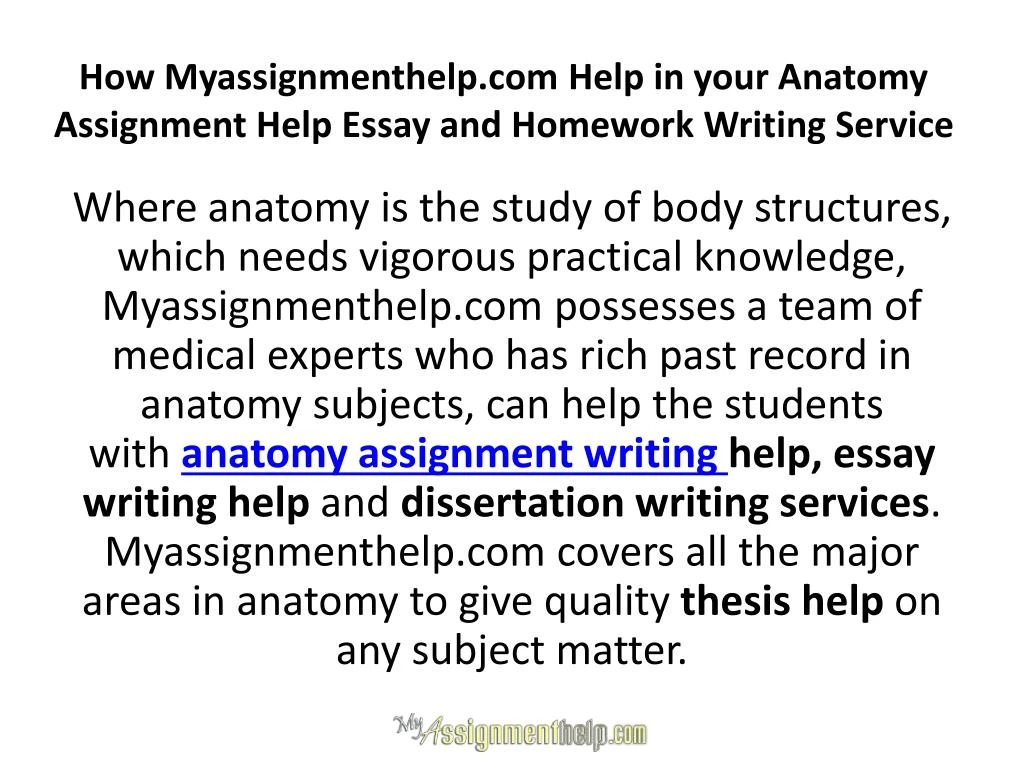 help with your essay