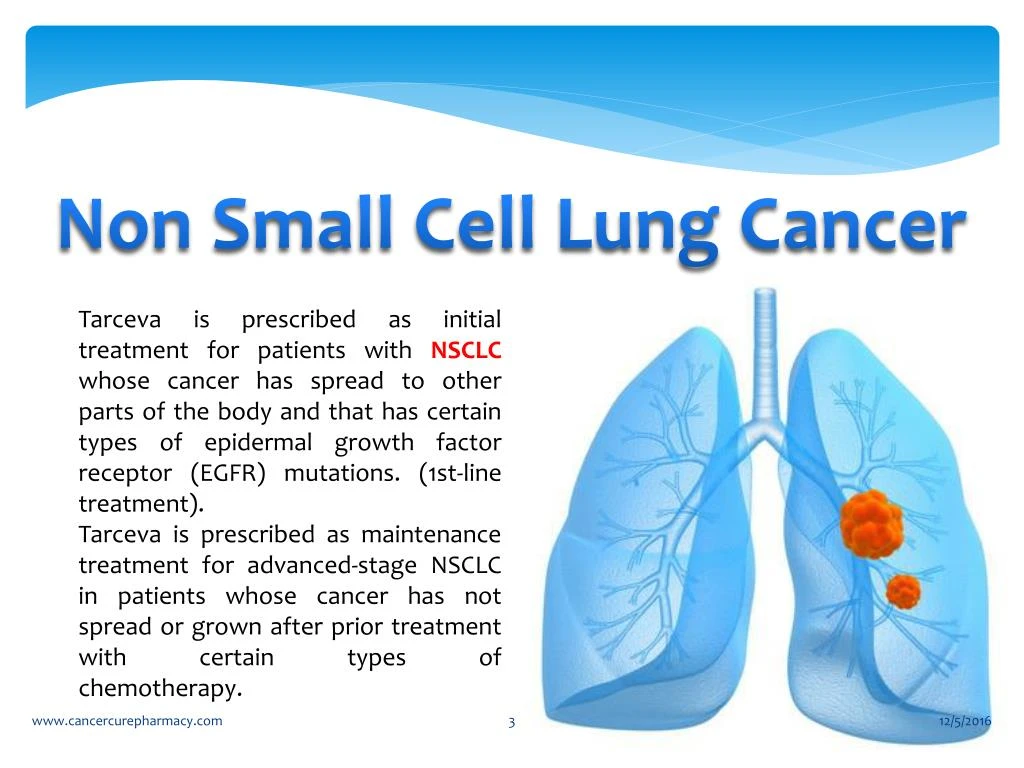 PPT Non small cell lung cancerPancreatic cancer