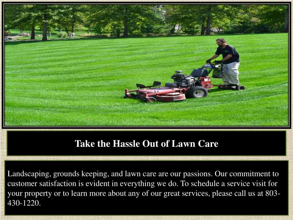 PPT - Grass Mowing Provider Lexington SC PowerPoint ...