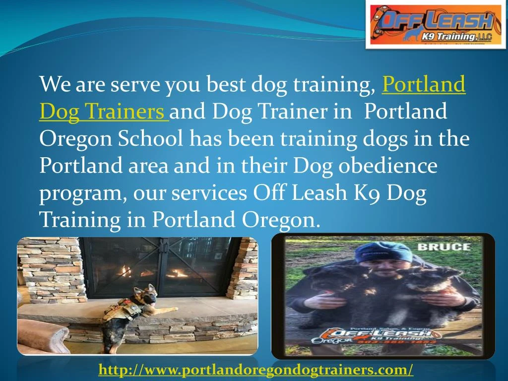 Dog Training School Portland Dog Training School Portland