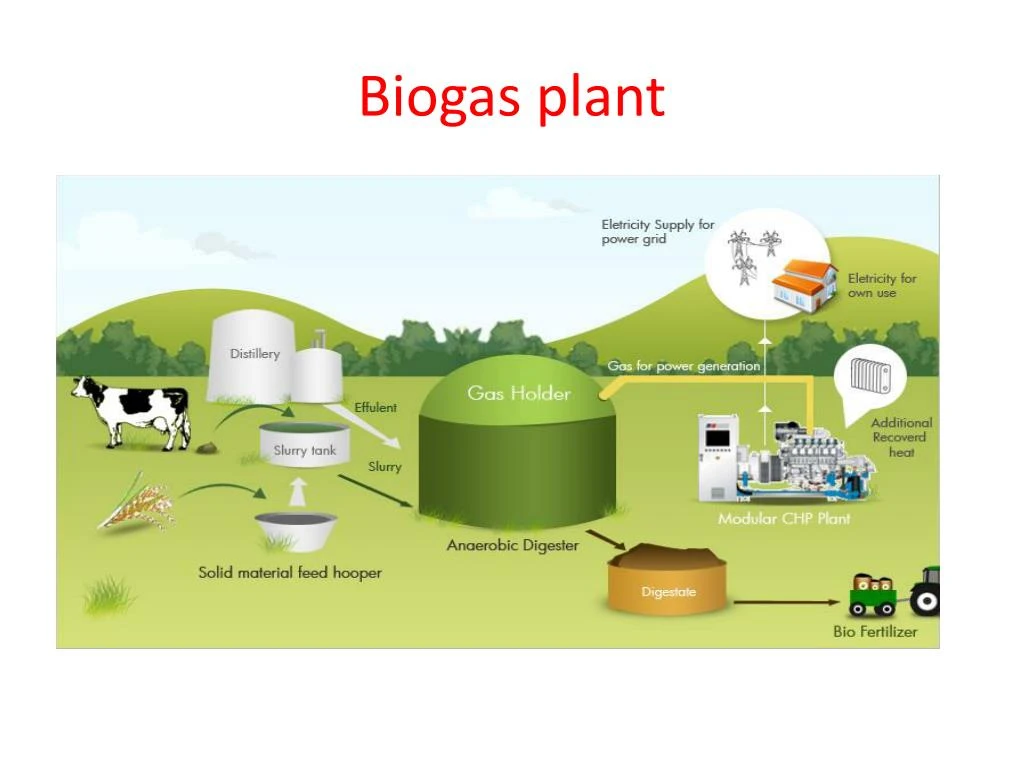 Ppt - How Can Biowaste Be Effectually Utilized? - Enerzea Powerpoint 