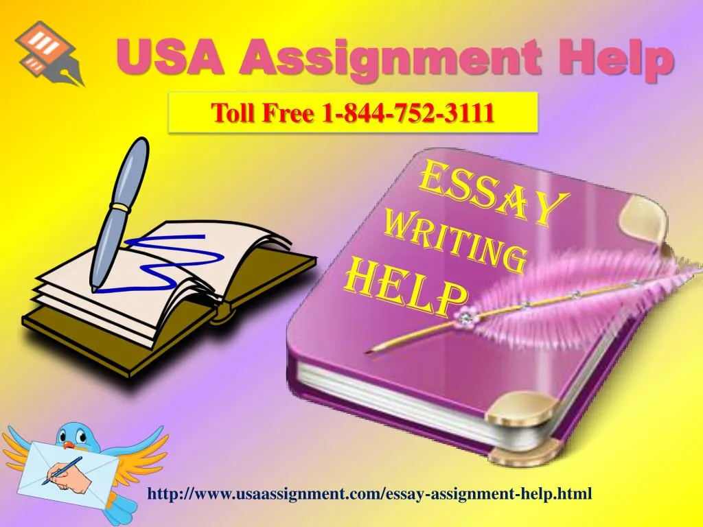 Assignment help usa