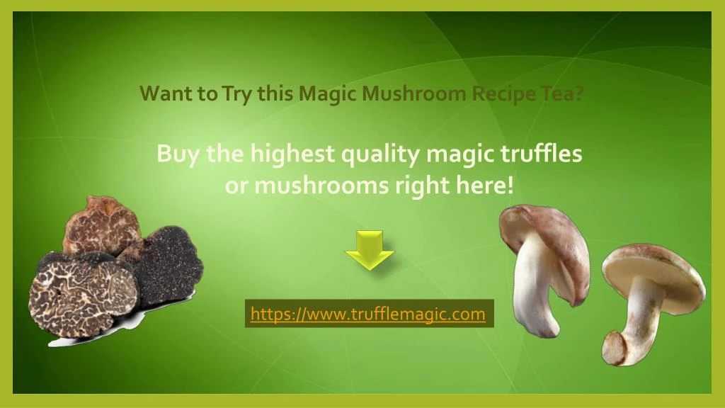 PPT - Magic Mushroom Tea Recipe - How to Make It? PowerPoint