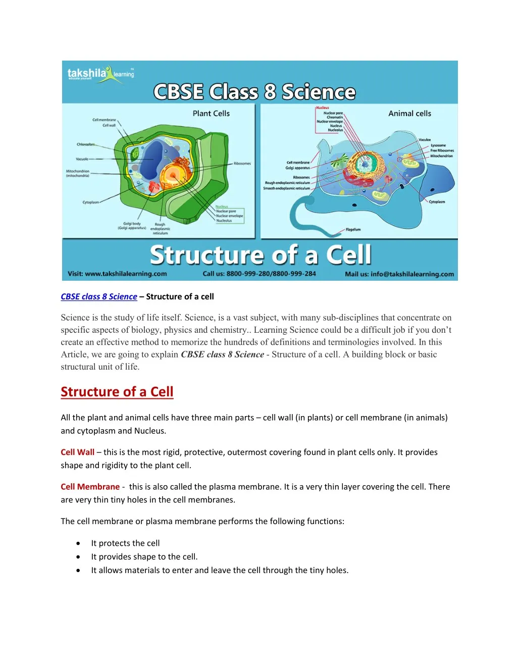 PPT CBSE Class 8 Science Structure Of A Cell PowerPoint Presentation