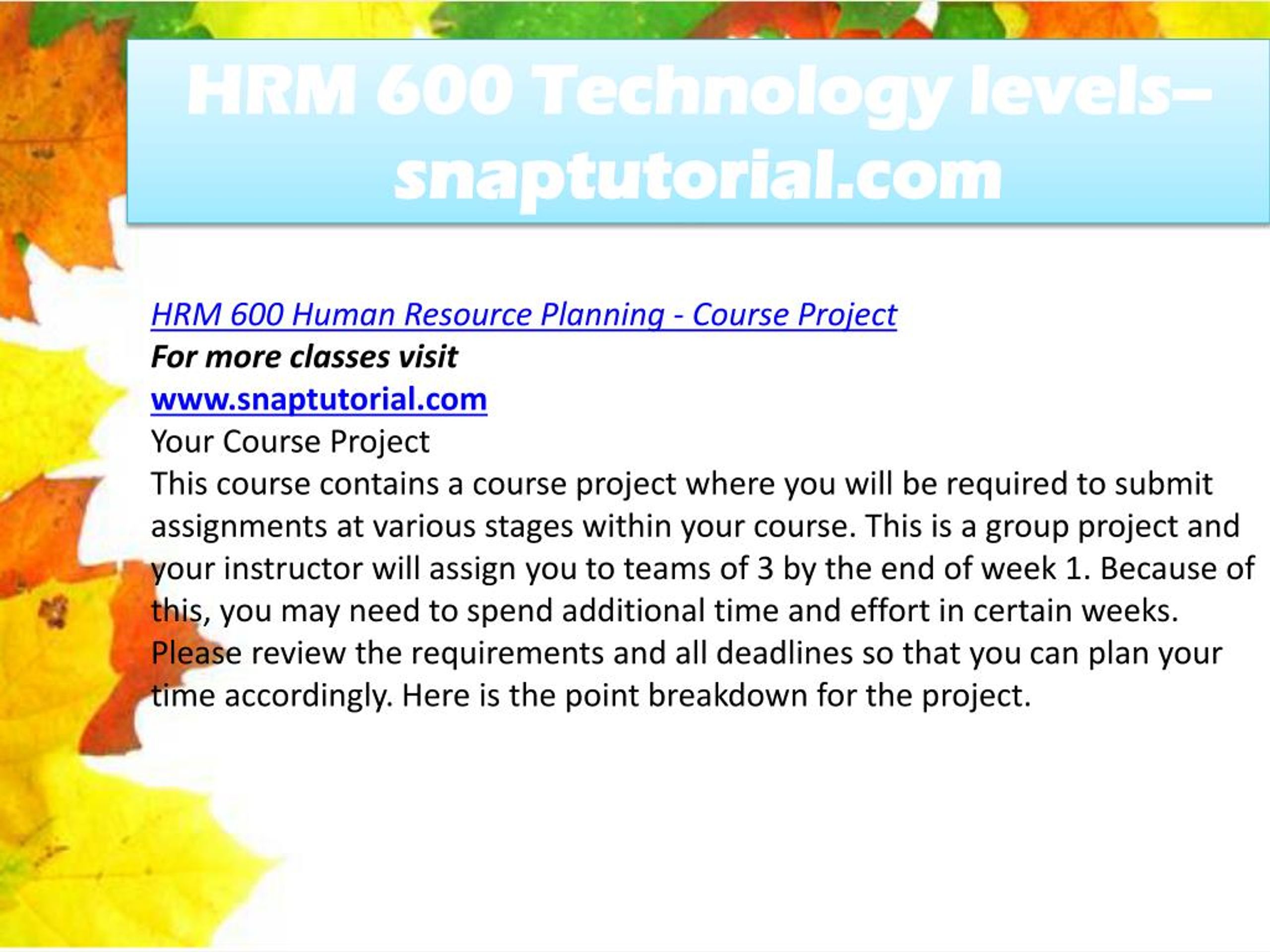 PPT HRM 600 Technology Levels Snaptutorial PowerPoint