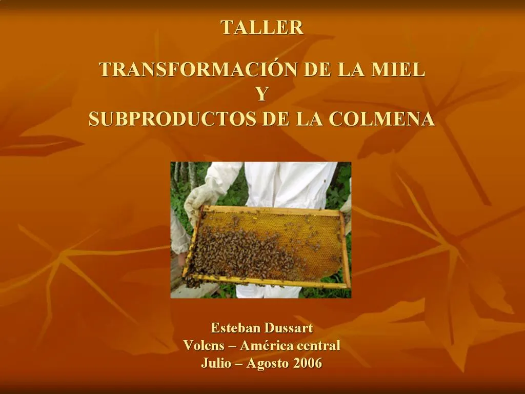 PPT TALLER TRANSFORMACI N DE LA MIEL Y SUBPRODUCTOS DE LA COLMENA