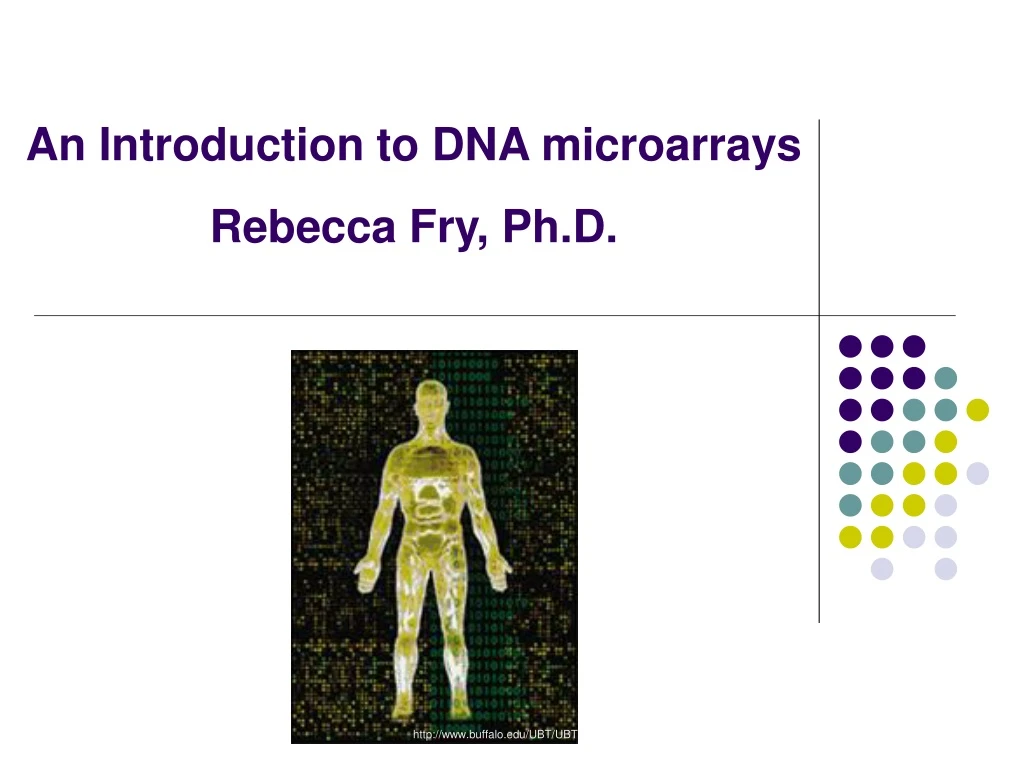 Ppt An Introduction To Dna Microarrays Rebecca Fry Ph D Powerpoint