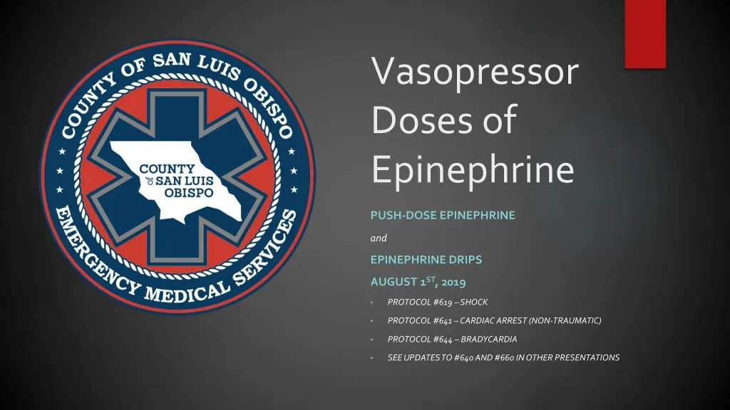 vasopressor doses of epinephrine n.