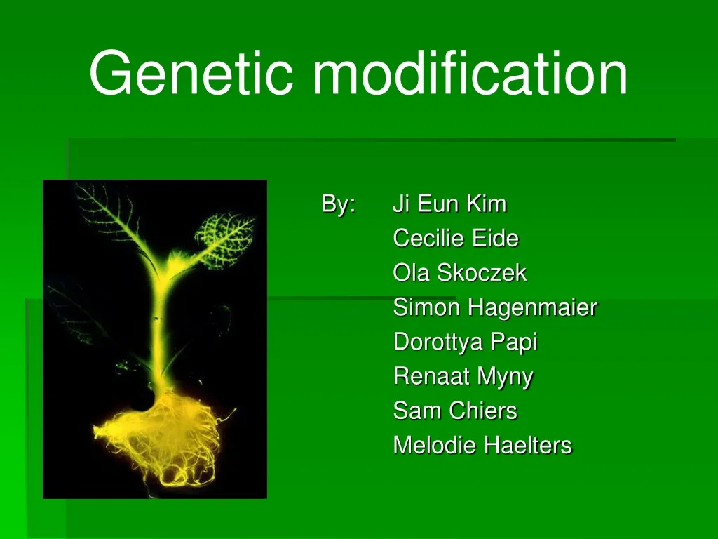 genetic modification n.
