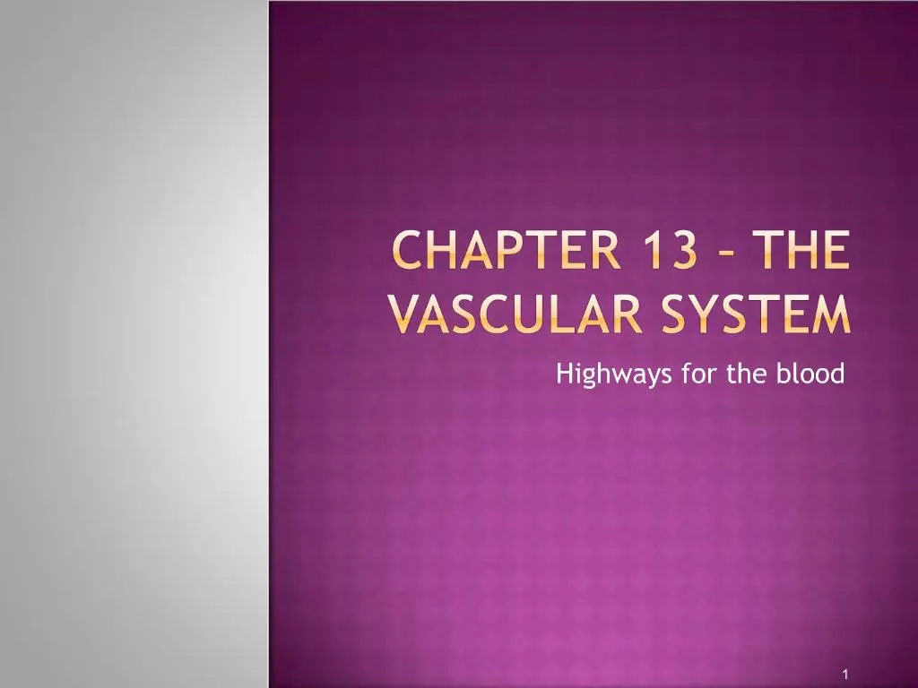 ppt-chapter-13-the-vascular-system-powerpoint-presentation-free