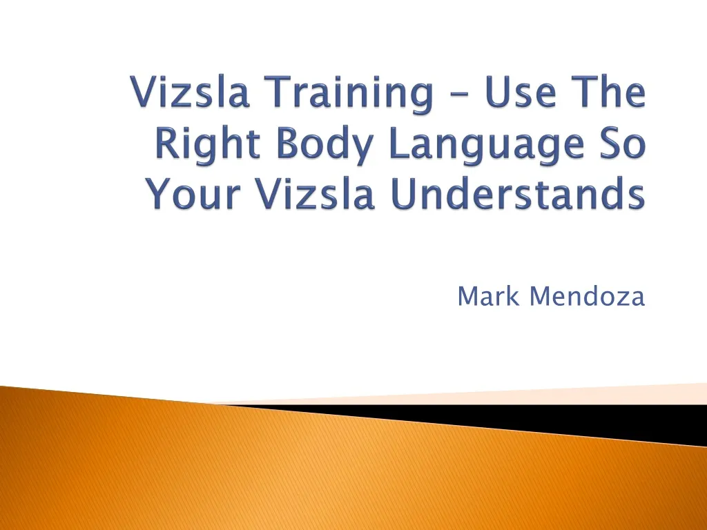 vizsla training use the right body language so your vizsla understands n.
