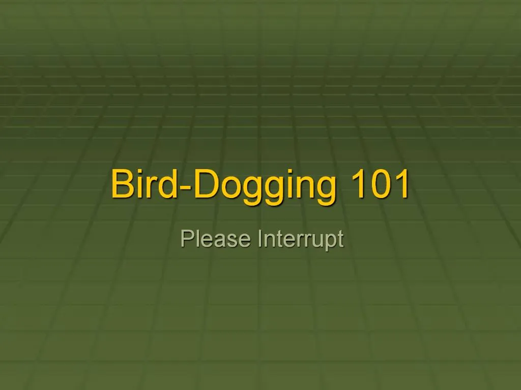 PPT BirdDogging 101 PowerPoint Presentation, free download ID1018292