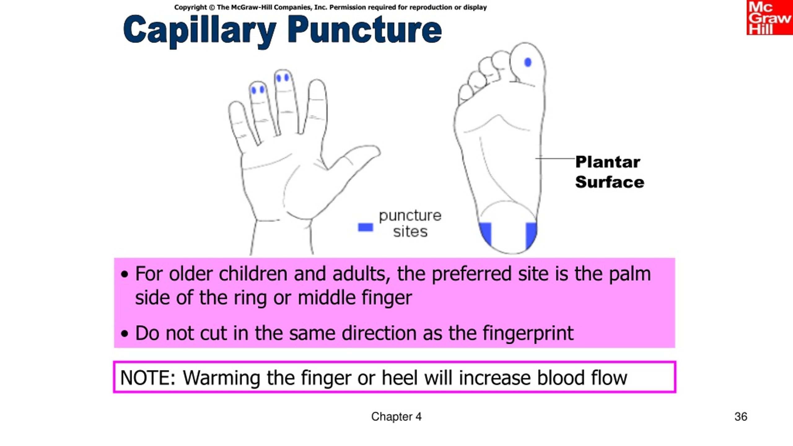 ppt-phlebotomy-powerpoint-presentation-free-download-id-1023118