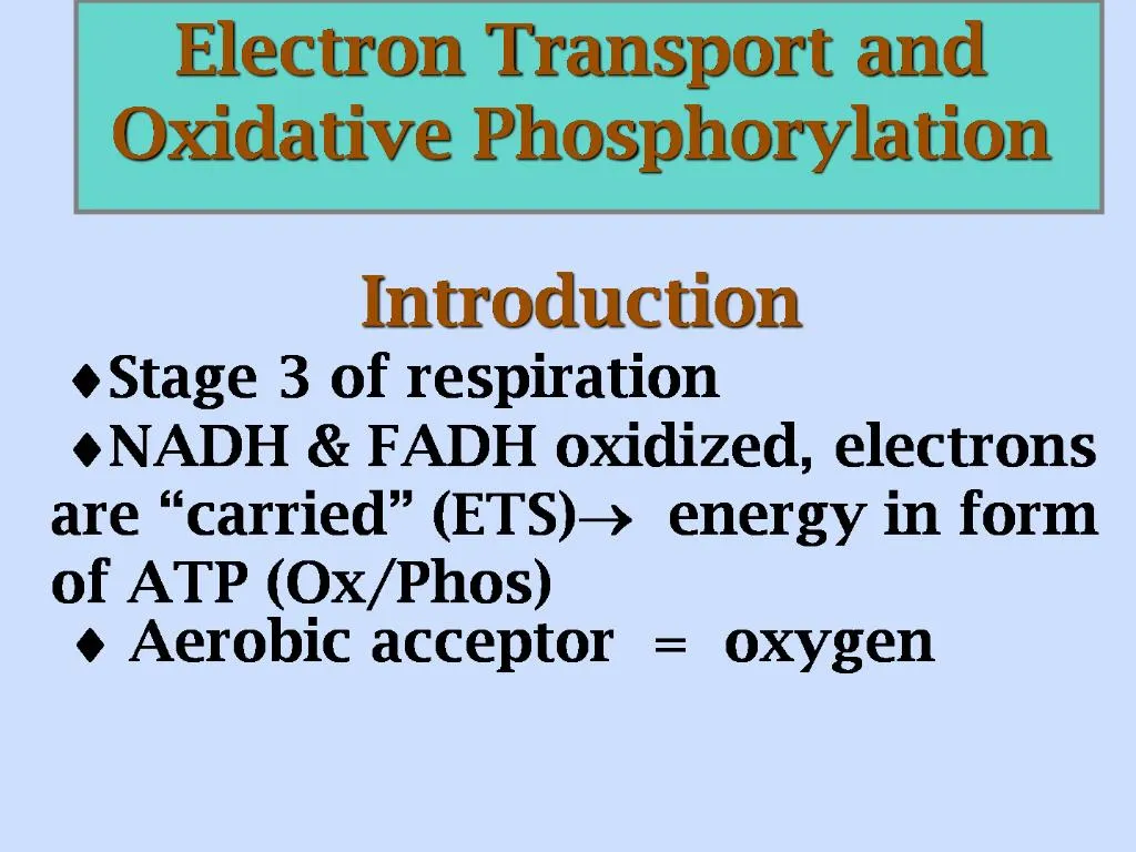 PPT - Electron Transport and Oxidative Phosphorylation Introduction ...