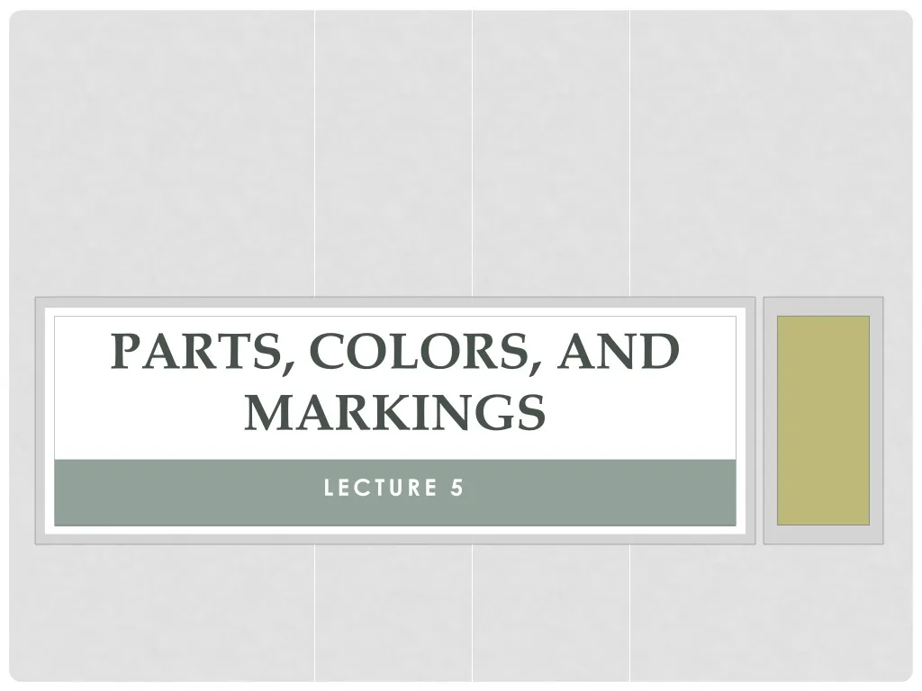parts colors and markings n.