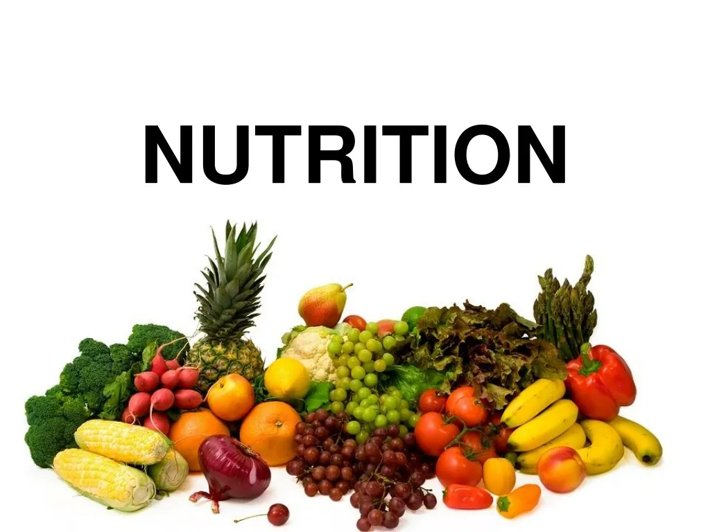 PPT - NUTRITION PowerPoint Presentation, free download - ID:1033303