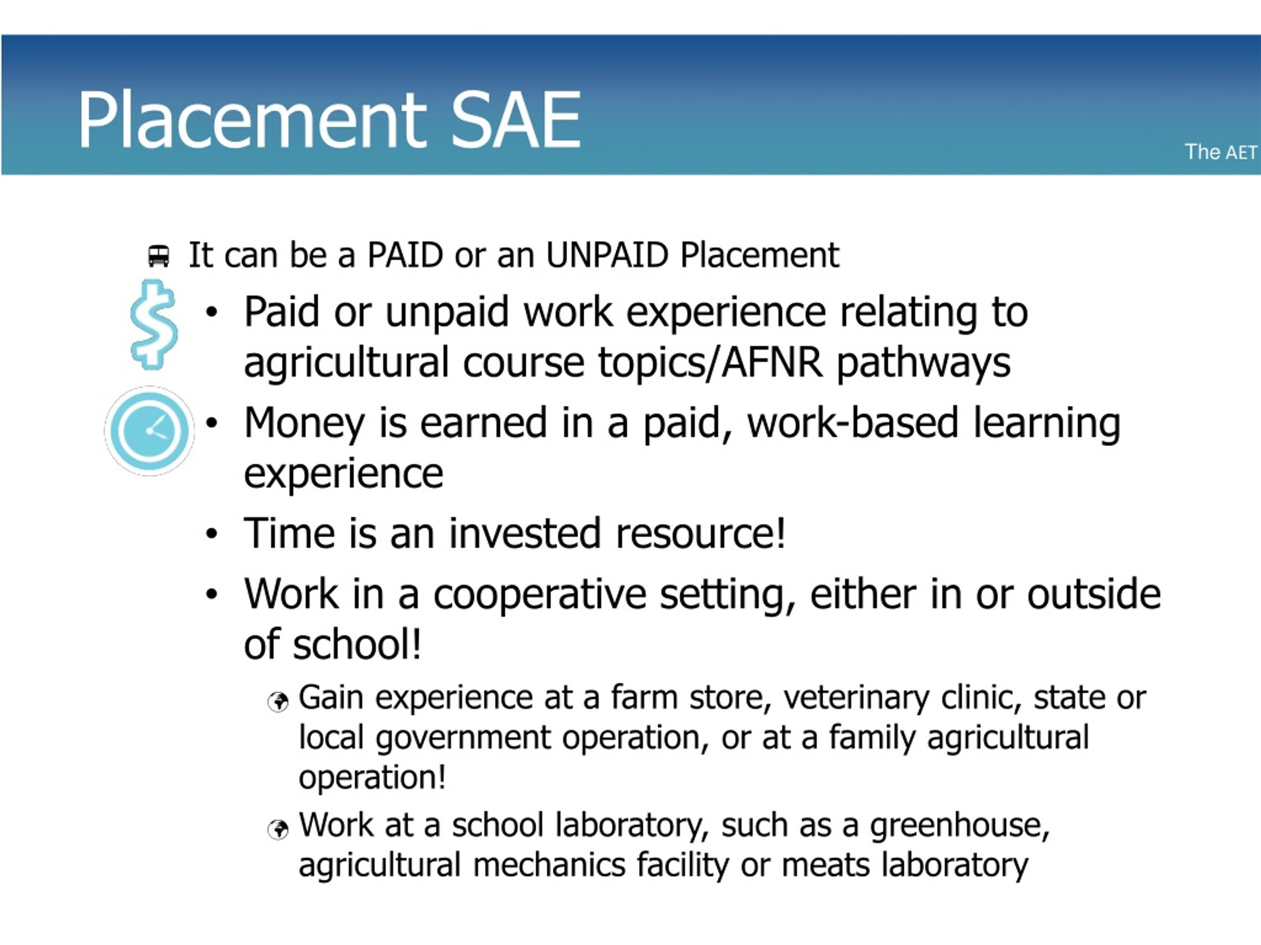 Examples Of A Placement Sae