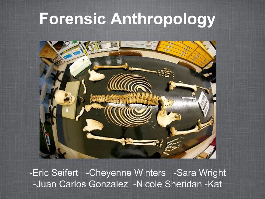 forensic anthropology thesis topics