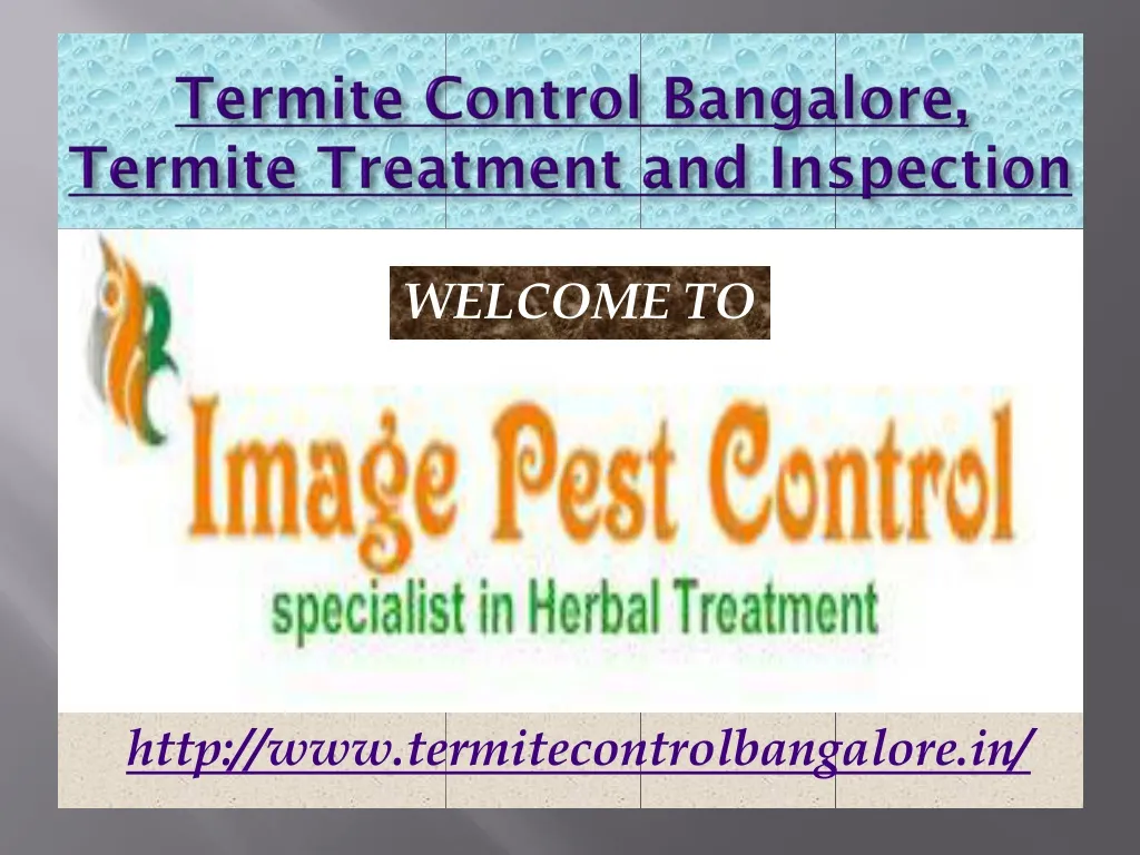 termite control bangalore termite treatment and inspection n.