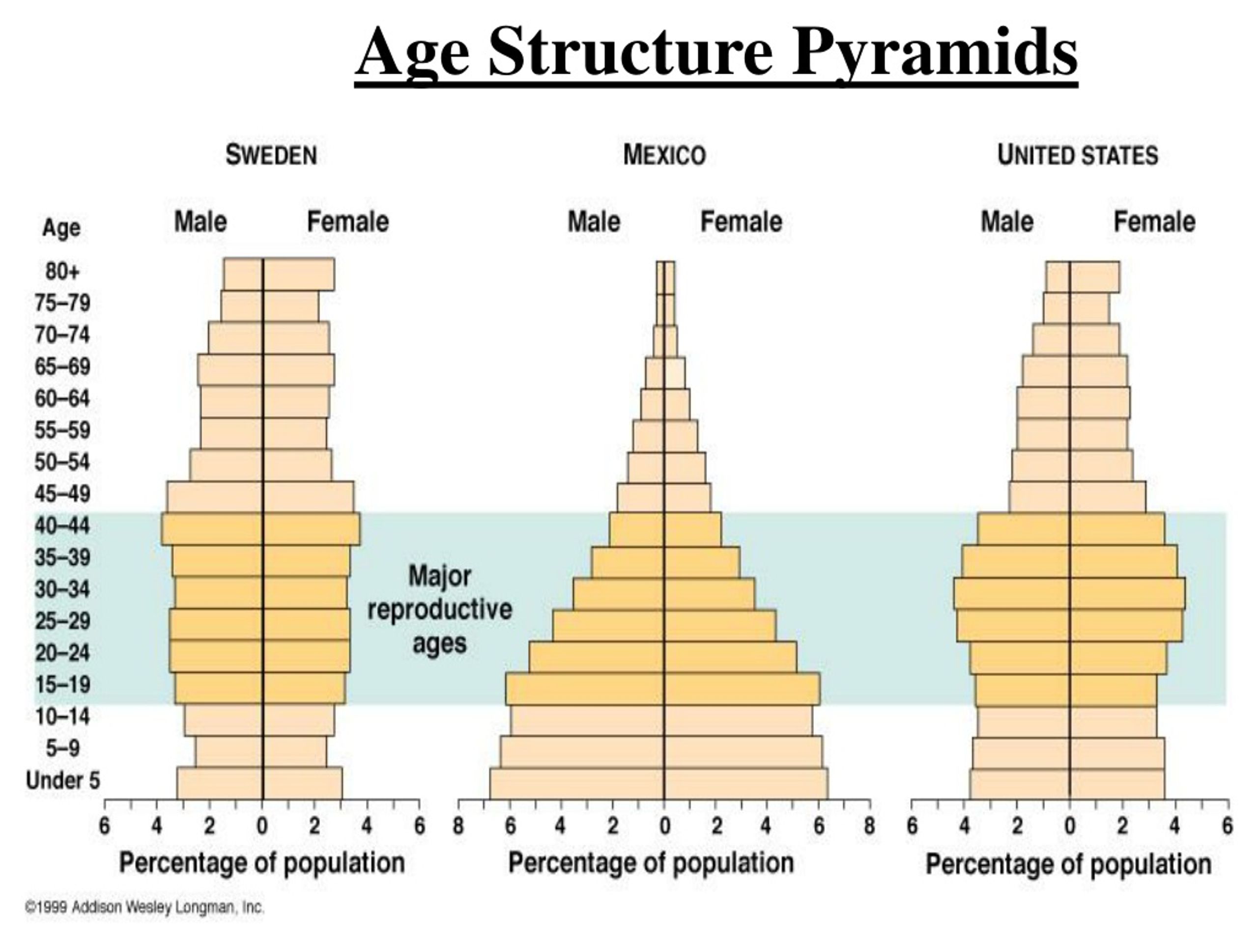 Population Pyramid Age Structure Types Of Population Pyramids How ...