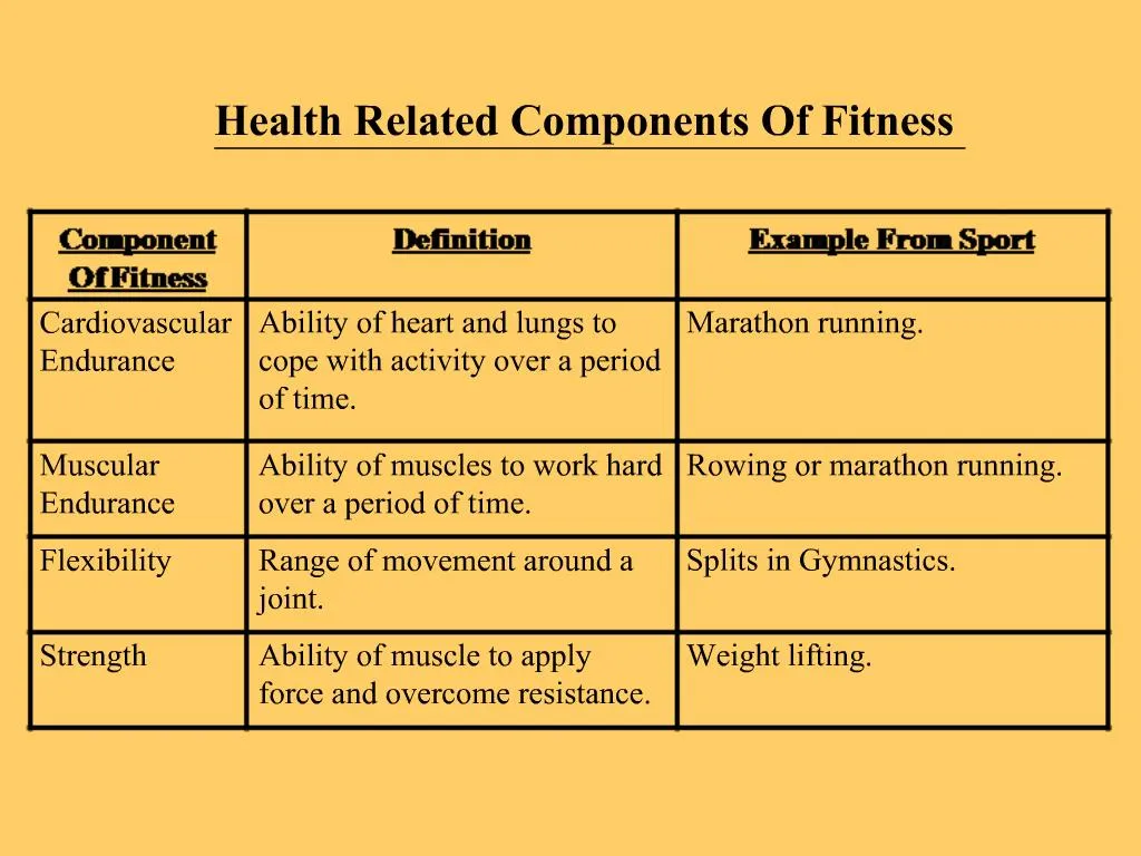 ppt-health-related-components-of-fitness-powerpoint-presentation