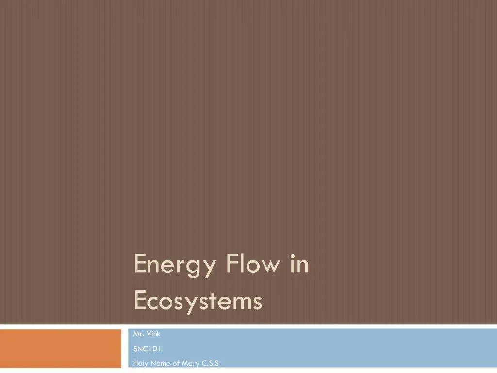 slide1 n.
