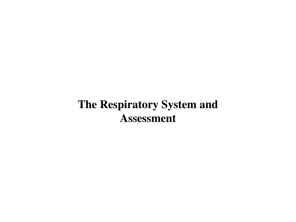 the respiratory system and assessment n.