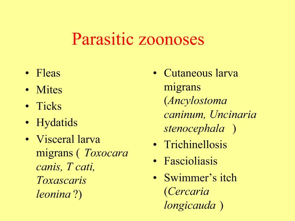 PPT - Parasitic Zoonoses PowerPoint Presentation, Free Download - ID ...