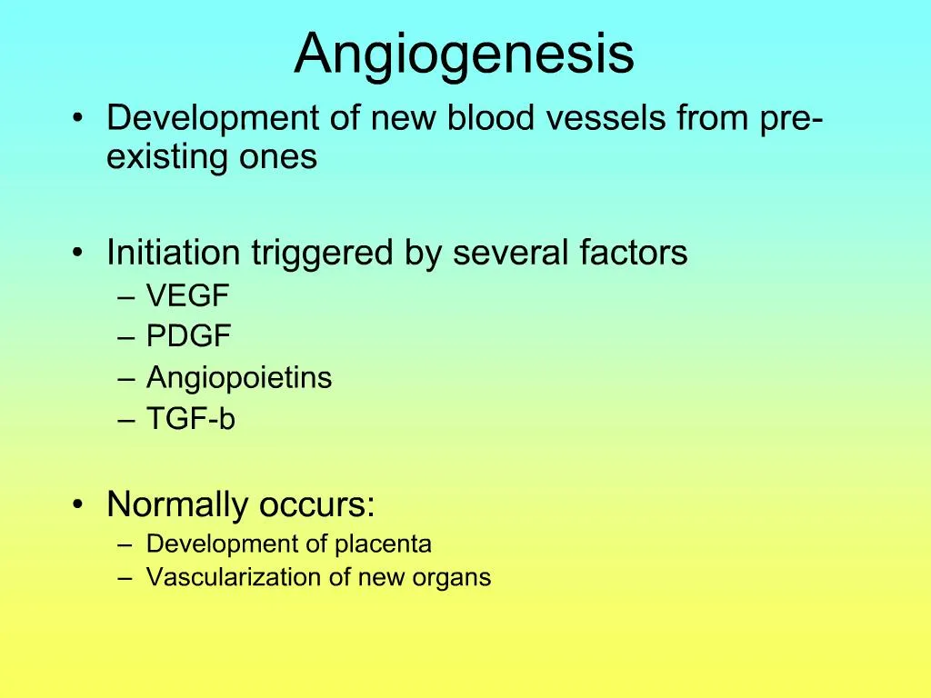 Central Giant Cell Granuloma - PPT JC | Angiogenesis 