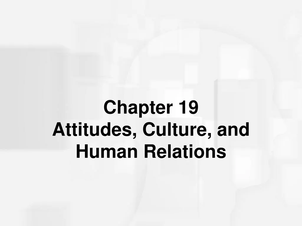 chapter 19 attitudes culture and human relations n.