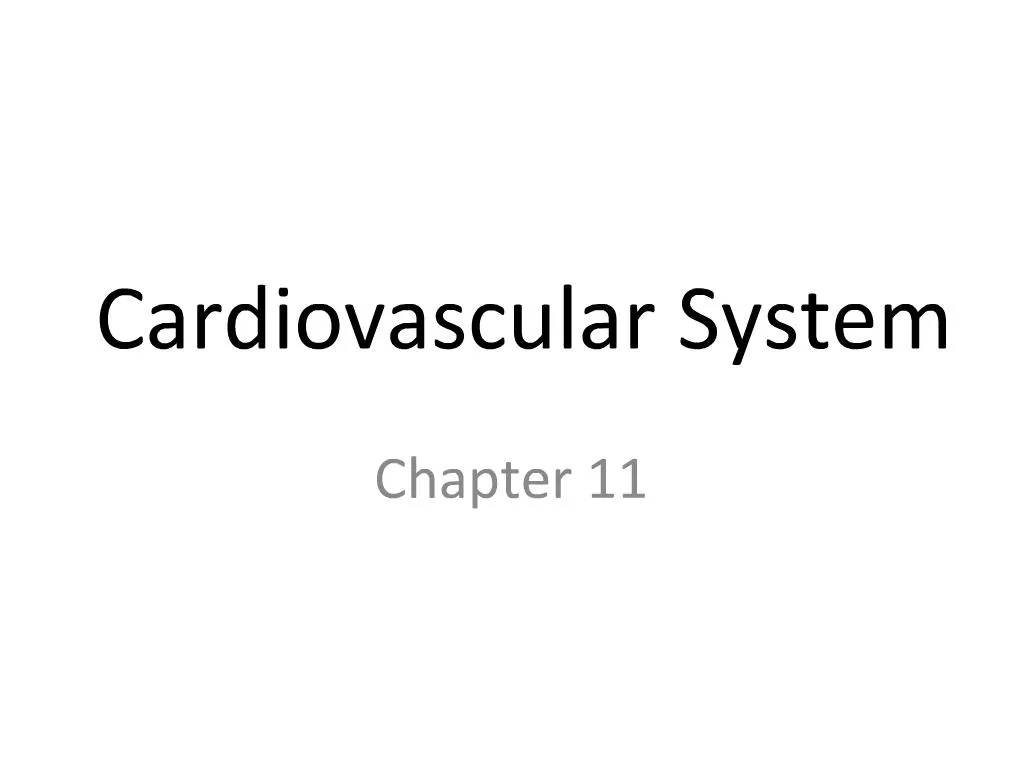 PPT - Cardiovascular System PowerPoint Presentation, free download - ID ...