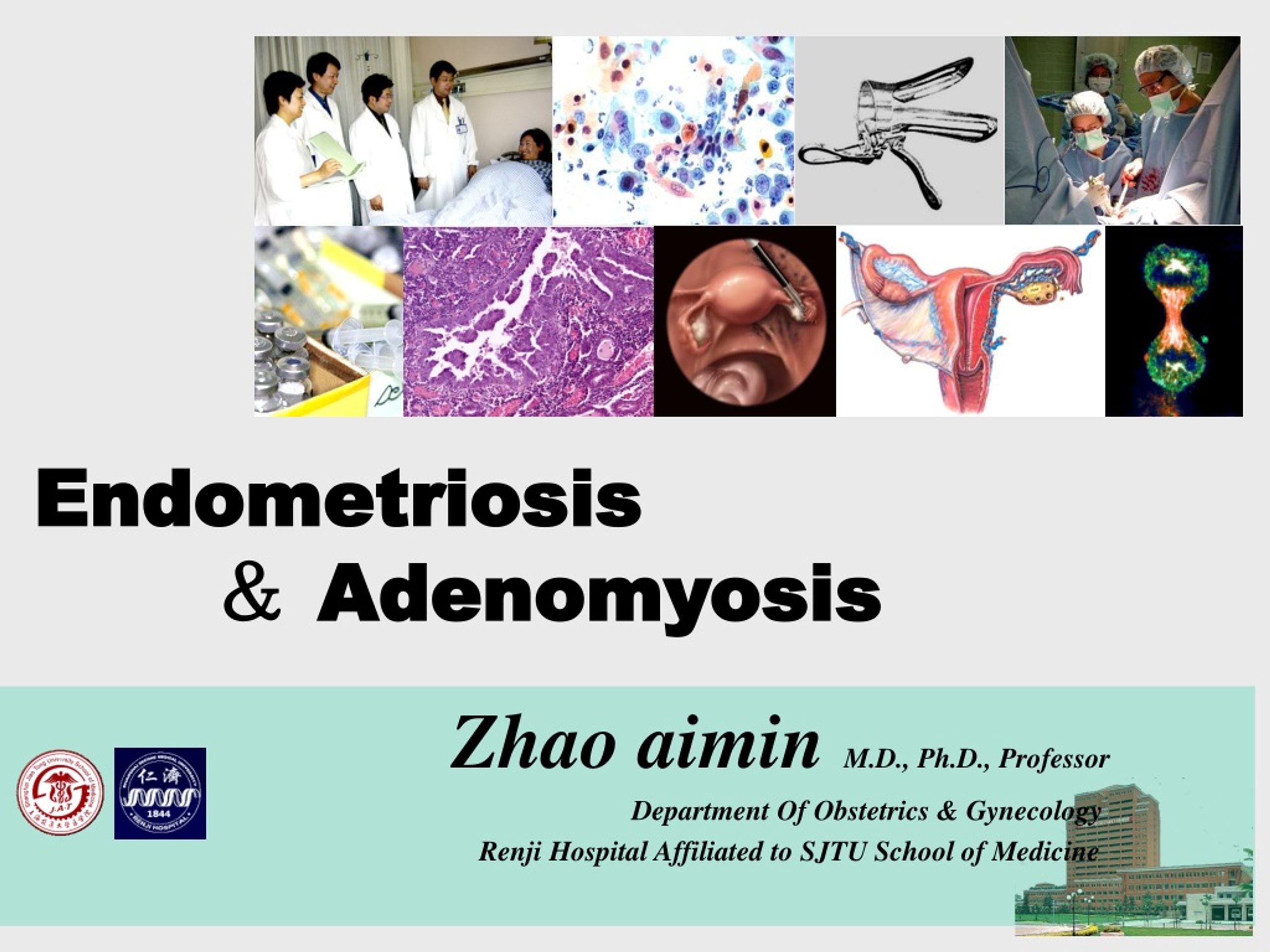 Zhao aiminM.D., Ph.D., Professor Department Of Obstetrics & Gynecology ...