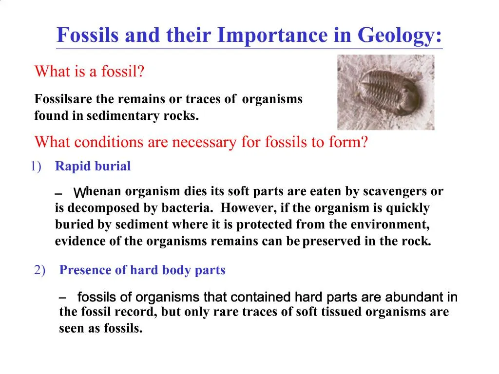 importance of geology