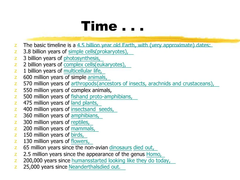 presentation time based on words