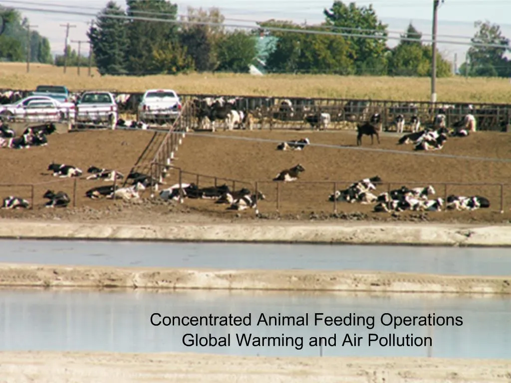 PPT Concentrated Animal Feeding Operations Global Warming and Air