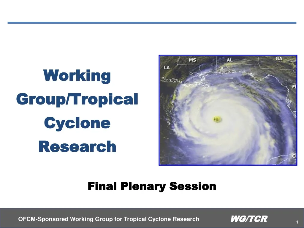 working group tropical cyclone research n.
