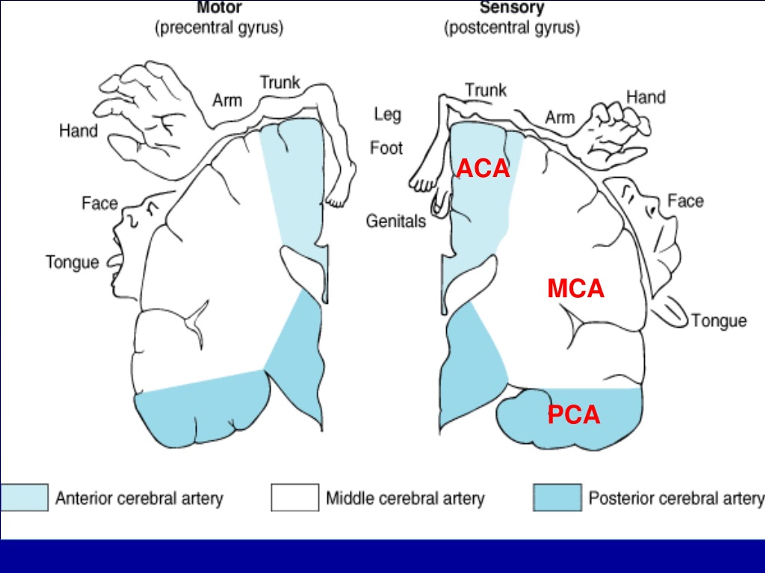 Latest Test ACA-Cloud1 Simulations