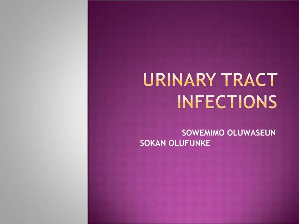 presentation on urinary tract infection