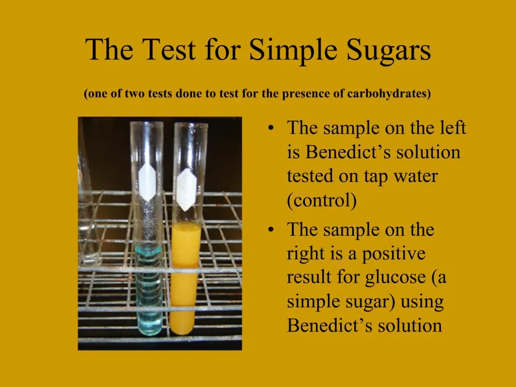 PPT The Test for Simple Sugars one of two tests done to test for the