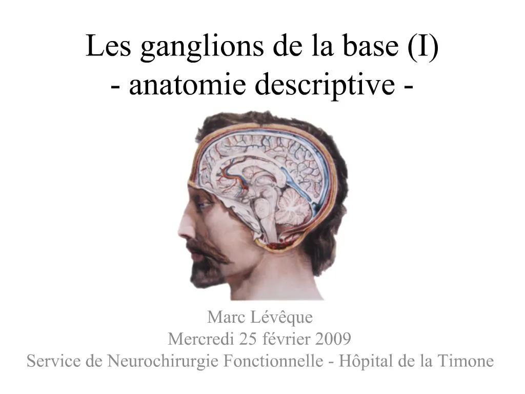 PPT - Les Ganglions De La Base I - Anatomie Descriptive - PowerPoint ...