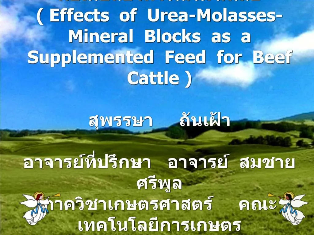 PPT - -- Effects Of Urea-Molasses-Mineral Blocks As A Supplemented Feed ...