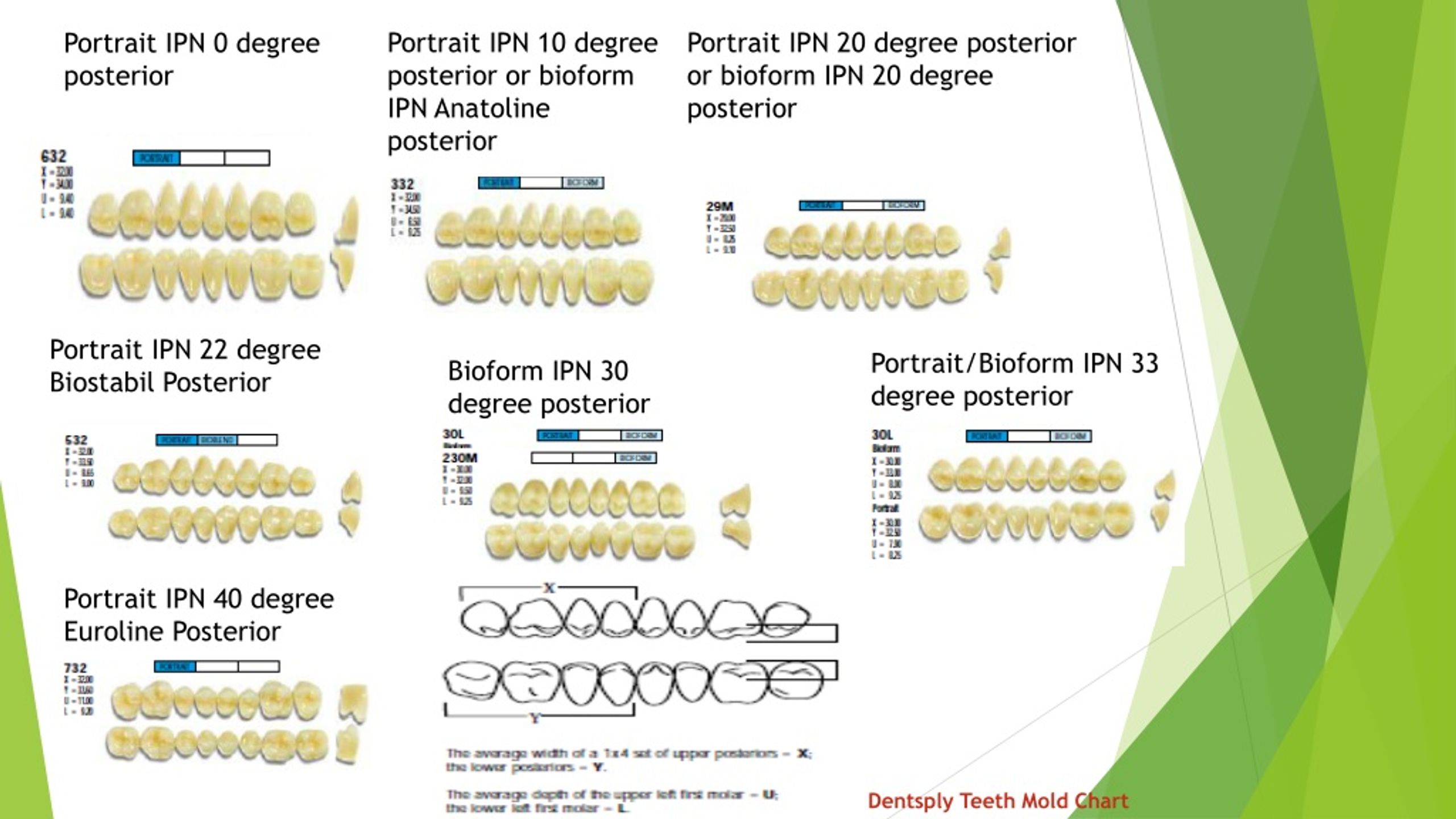 ppt-posterior-teeth-selection-in-complete-dentures-powerpoint-presentation-id-1119660